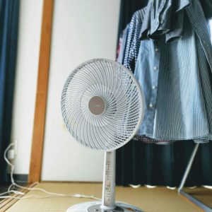 Fan